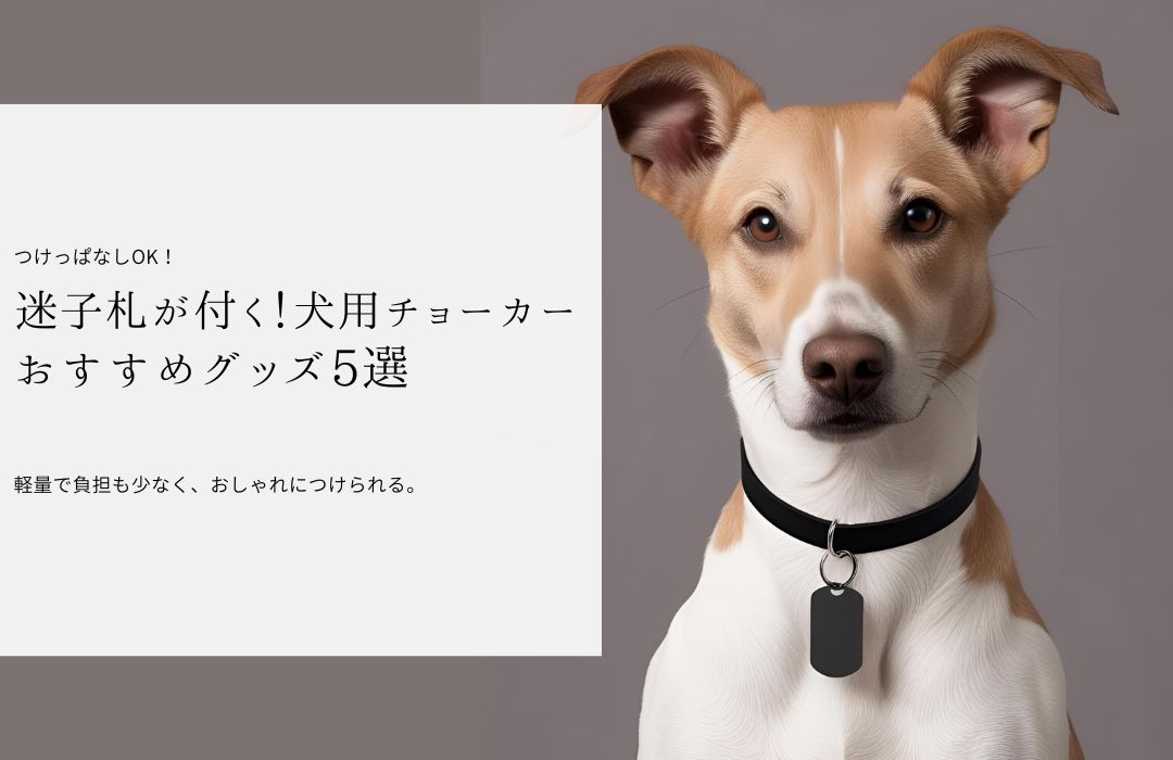 アイキャッチ画像